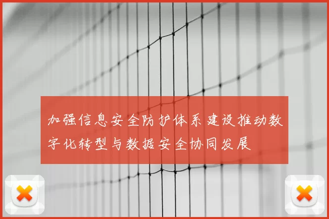 加强信息安全防护体系建设推动数字化转型与数据安全协同发展