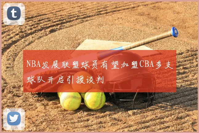 NBA发展联盟球员有望加盟CBA多支球队开启引援谈判