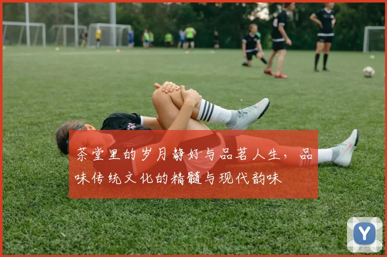 茶堂里的岁月静好与品茗人生,品味传统文化的精髓与现代韵味