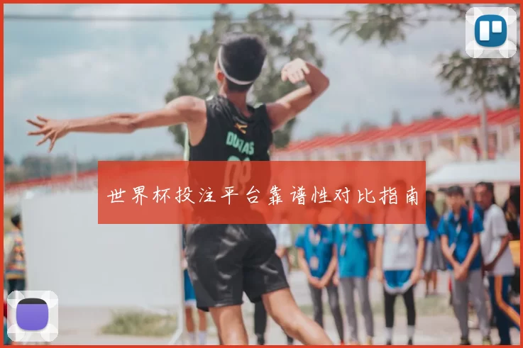 世界杯投注平台靠谱性对比指南
