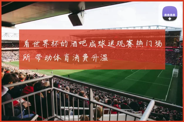 看世界杯的酒吧成球迷观赛热门场所 带动体育消费升温
