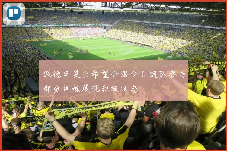 佩德里复出希望升温今日随队参与部分训练展现积极状态
