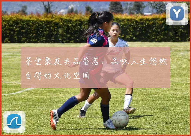 茶堂聚友共品香茗,品味人生悠然自得的文化空间