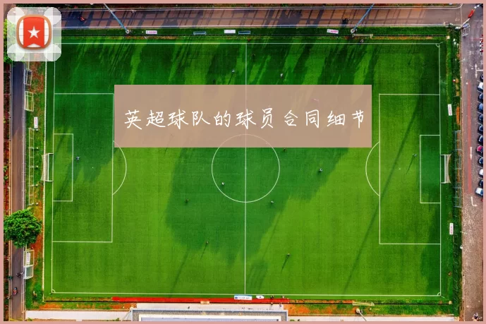 英超球队的球员合同细节