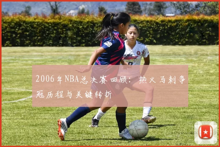2006年NBA总决赛回顾:热火马刺争冠历程与关键转折