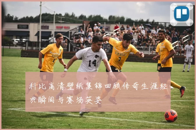 科比高清壁纸集锦回顾传奇生涯经典瞬间与赛场英姿