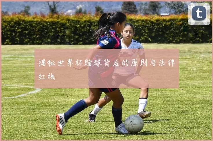 揭秘世界杯赌球背后的原则与法律红线