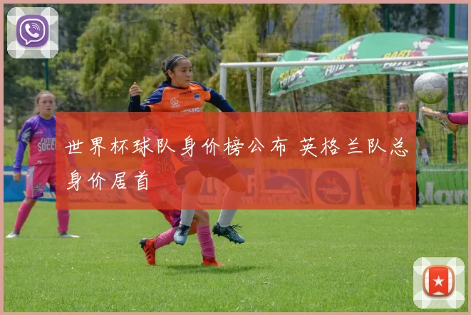 世界杯球队身价榜公布 英格兰队总身价居首