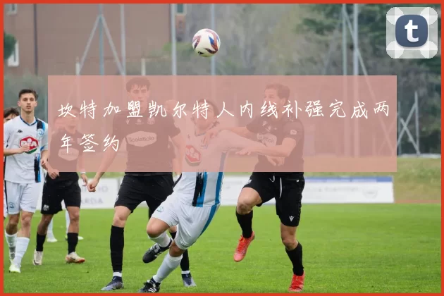 坎特加盟凯尔特人内线补强完成两年签约