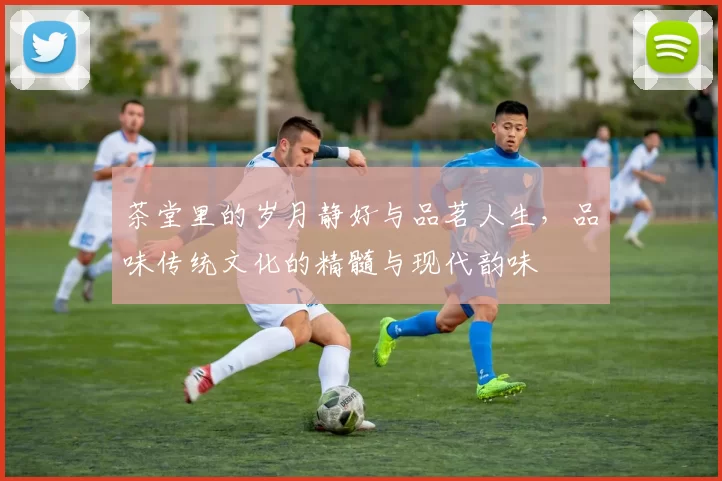 茶堂里的岁月静好与品茗人生,品味传统文化的精髓与现代韵味