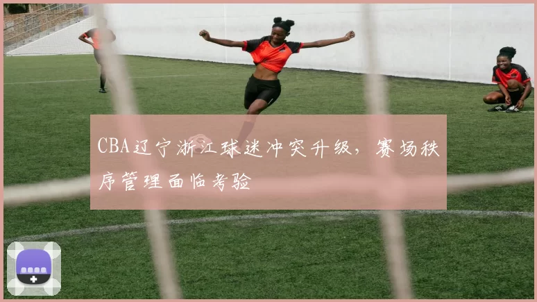CBA辽宁浙江球迷冲突升级,赛场秩序管理面临考验