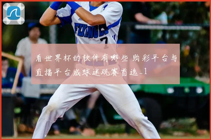 看世界杯的软件有哪些 购彩平台与直播平台成球迷观赛首选_1