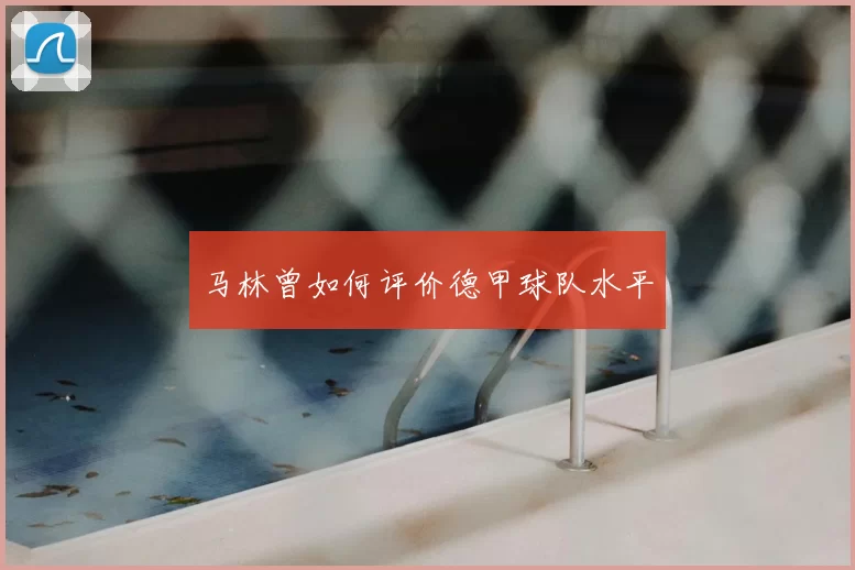 马林曾如何评价德甲球队水平