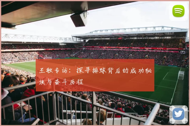 王敏专访：探寻排球背后的成功秘诀与奋斗历程