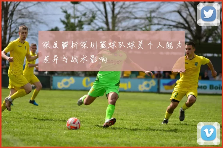 深度解析深圳篮球队球员个人能力差异与战术影响