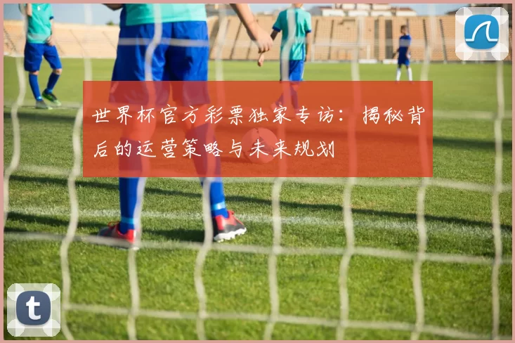 世界杯官方彩票独家专访:揭秘背后的运营策略与未来规划